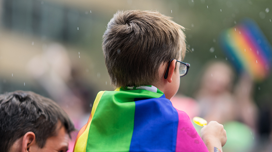 Projeto de lei 504, em tramitação na Alesp, quer proibir LGBTIs em propagandas infantis (Foto: Reprodução)