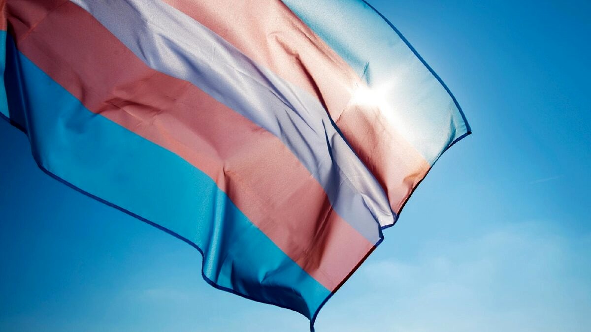 Prefeitura de Juiz de Fora abre edital de cultura voltado à visibilidade trans