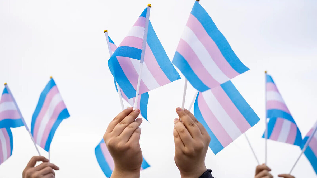 ONGs pedem proibição de discursos contra crianças trans e adolescentes durante as eleições de 2024 [Foto: Getty Images]
