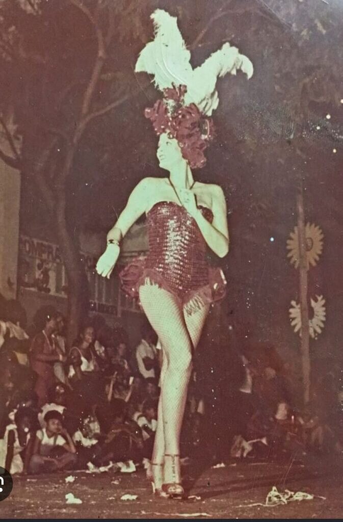 Waldirene Nogueira era presença fixa nos desfiles de carnaval em Lins (Foto: Reprodução Facebook)